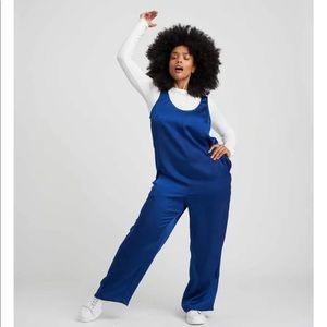 Universal Standard Judy Satin Relaxed Jumpsuit